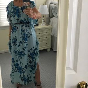 Ramona LaRue blue floral dress